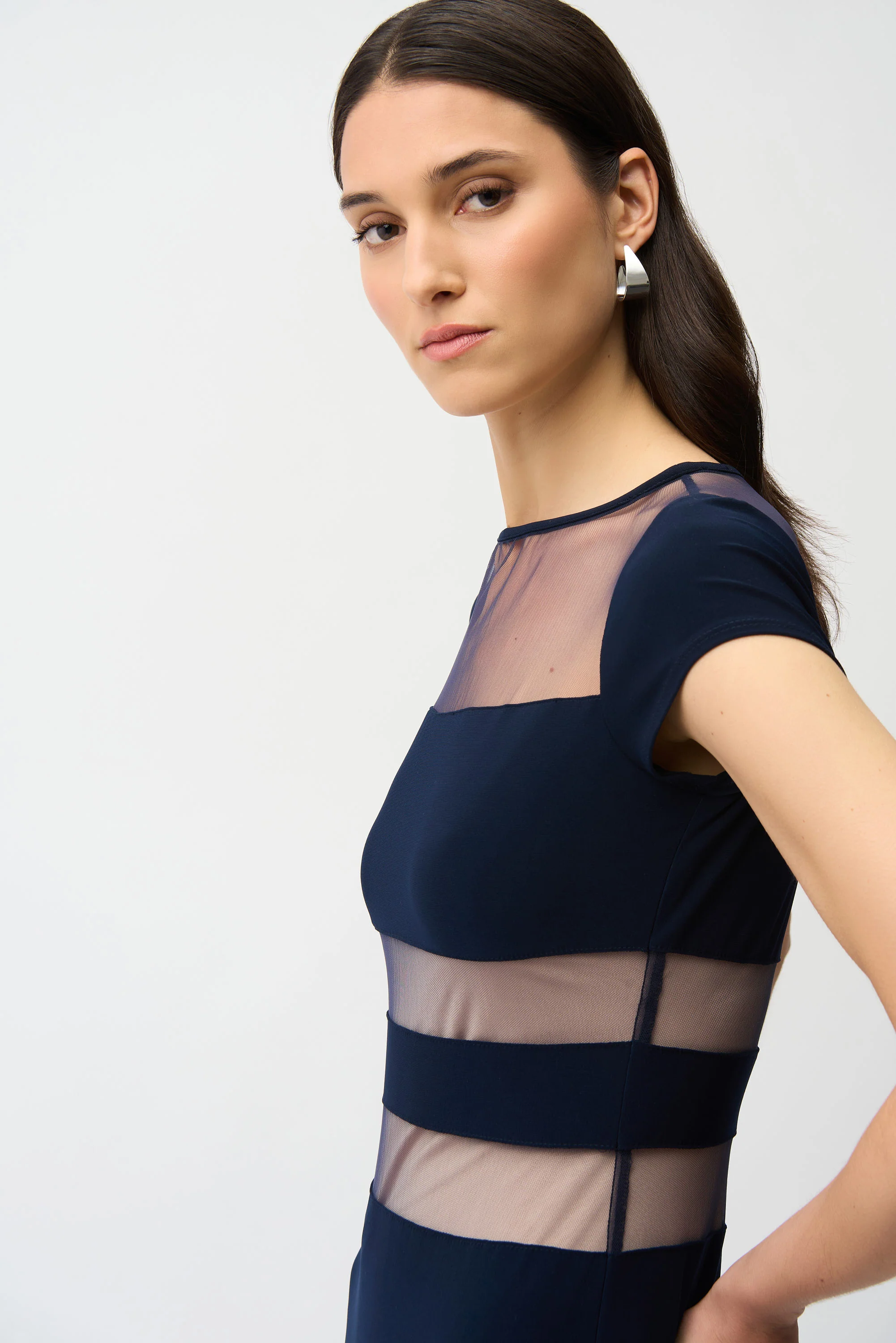 Joseph Ribkoff Fit and Flare Dress With Mesh Inserts Style 261050 - Image 4