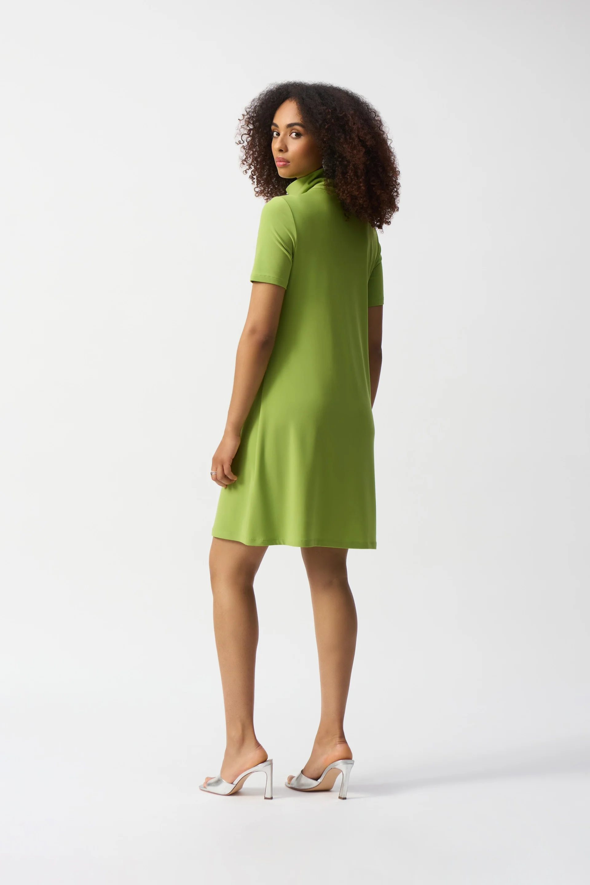 Joseph Ribkoff Zipped Collar Trapeze Dress Style 251145 - Image 4